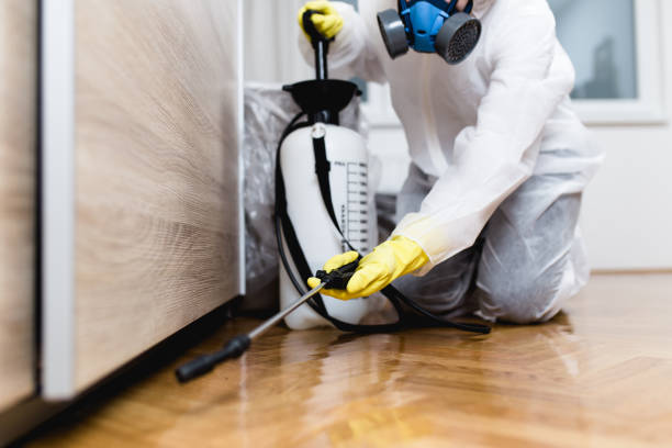 Insect Control in Colleyville, TX