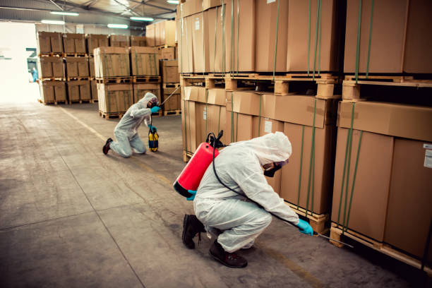 Reliable Colleyville, TX Pest Control Solutions