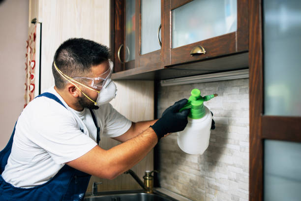 Best Exterminator Services  in Colleyville, TX