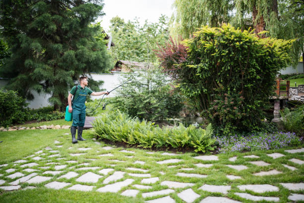 Best Residential Pest Control  in Colleyville, TX