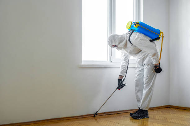 Best Best Pest Control Companies  in Colleyville, TX