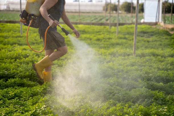 Best Insect Control  in Colleyville, TX