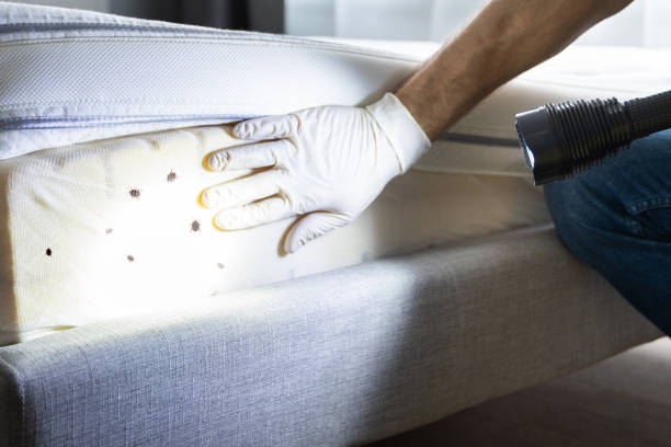 Best Wildlife Control Services  in Colleyville, TX
