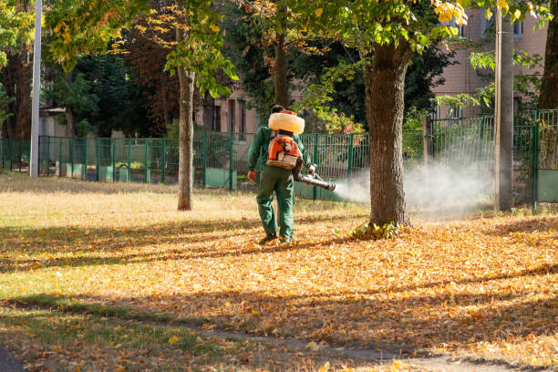 Best Flea Control Services  in Colleyville, TX