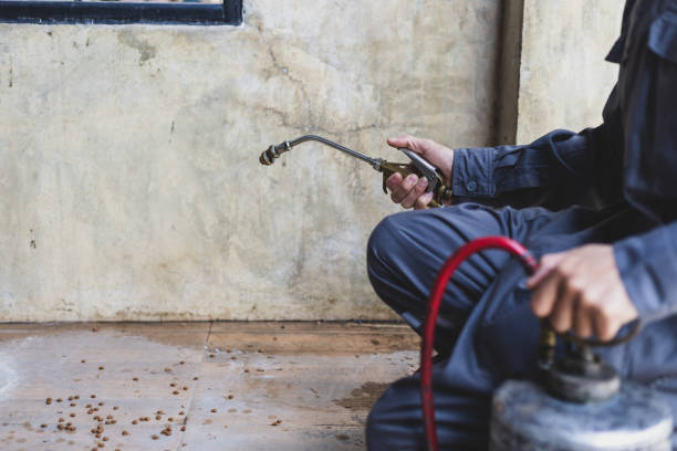 Best Affordable Exterminators  in Colleyville, TX
